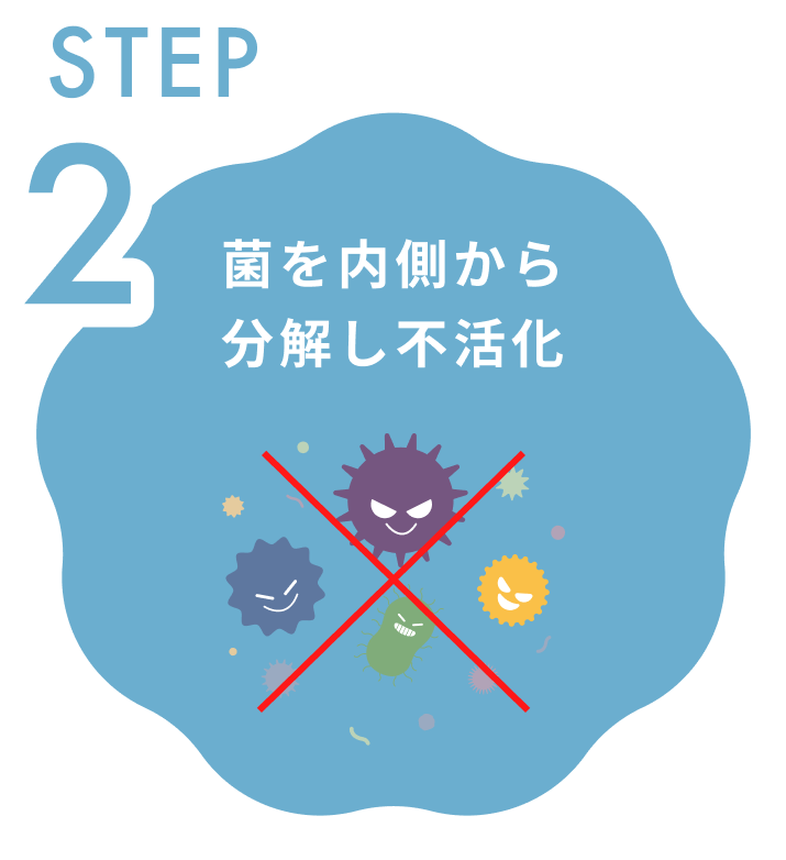 step2